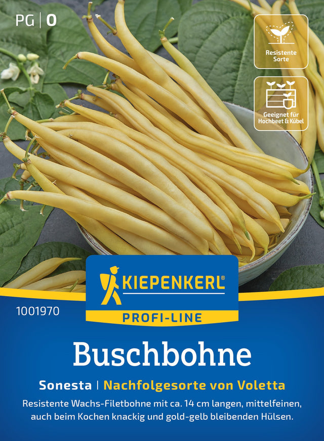 Kiepenkerl Buschbohnen Sonesta