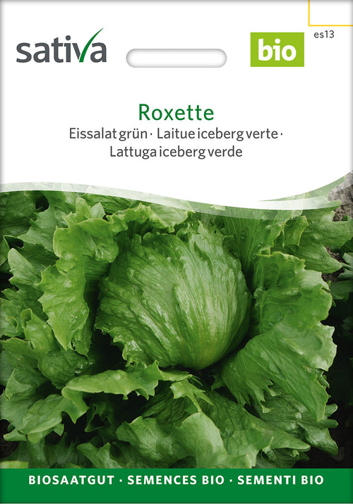 Sativa Eissalat grün Roxette
