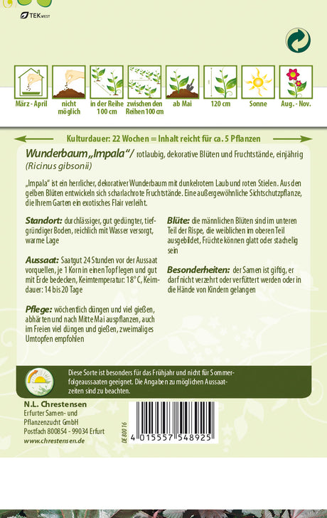 N.L. Chrestensen Wunderbaum Impala