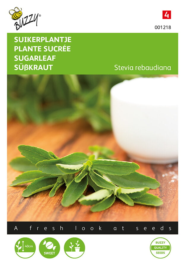 Buzzy Seeds Stevia Süßkraut