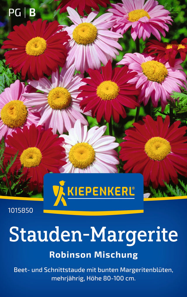 Kiepenkerl Margeriten Robinson Mischung