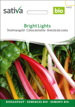 Sativa Stielmangold Bright Lights