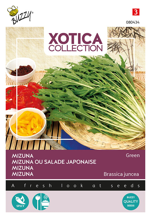Buzzy Seeds Mizuna