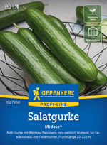 Kiepenkerl Salatgurken Midele®