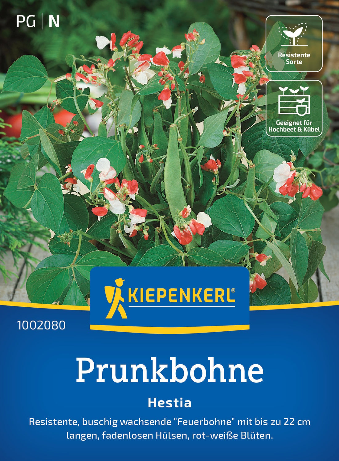Kiepenkerl Prunkbohnen Hestia