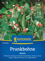 Kiepenkerl Prunkbohnen Hestia