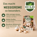 HILD Winterpflanzgut Bundle Germidour, Messidrome & Trio