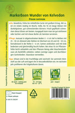 Quedlinburger Markerbse Kelvedon Wonder
