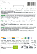 Sativa Asiasalat Mischung