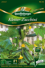 Quedlinburger Zucchini Quine