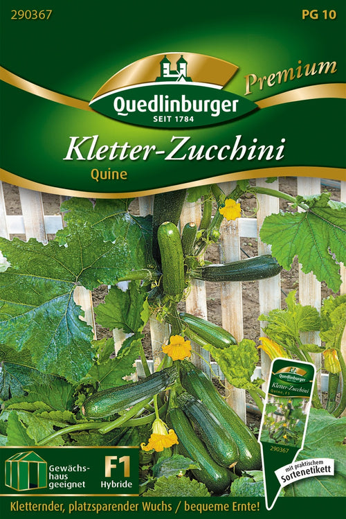 Quedlinburger Zucchini Quine