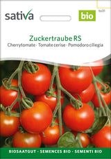 Sativa Cherrytomate Zuckertraube RS