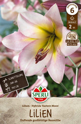 SPERLI Lilie Lilie Eastern Moon