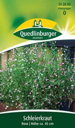 Quedlinburger Schleierkraut Rose einjährig