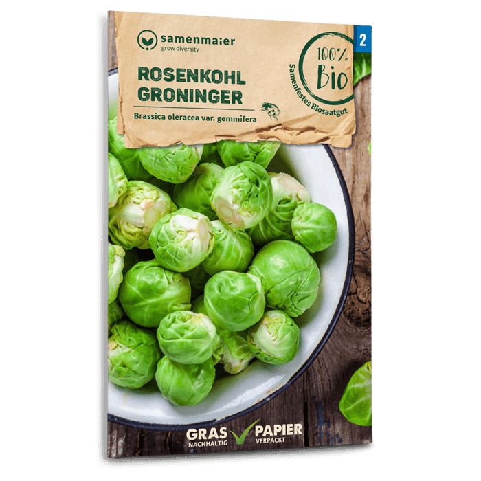 Samen Maier BIO Rosenkohl Groninger
