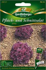 Quedlinburger Pflück-& Schnittsalat Jenny