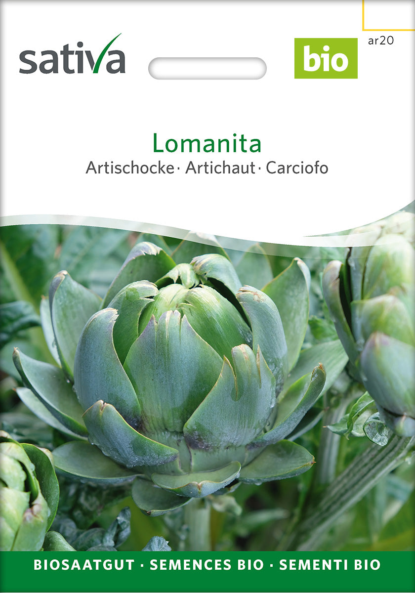 Sativa Artischocke Lomanita