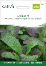 Sativa Asiasalat Red Giant