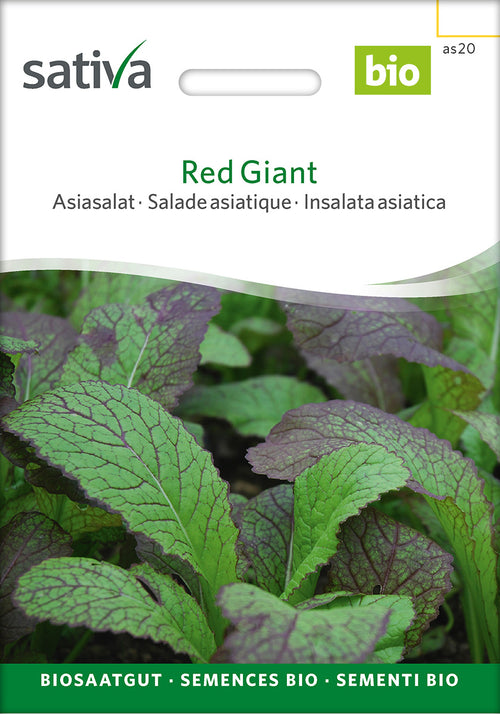 Sativa Asiasalat Red Giant