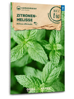 Samen Maier BIO Zitronenmelisse