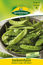 Quedlinburger Zuckererbse Ambrosia