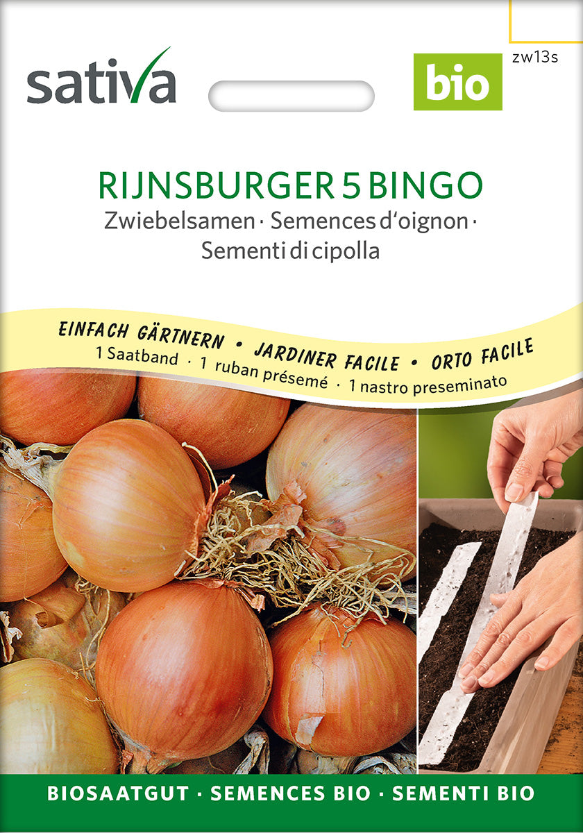 Sativa Zwiebelsamen Rijnsburger 5 Bingo Saatband