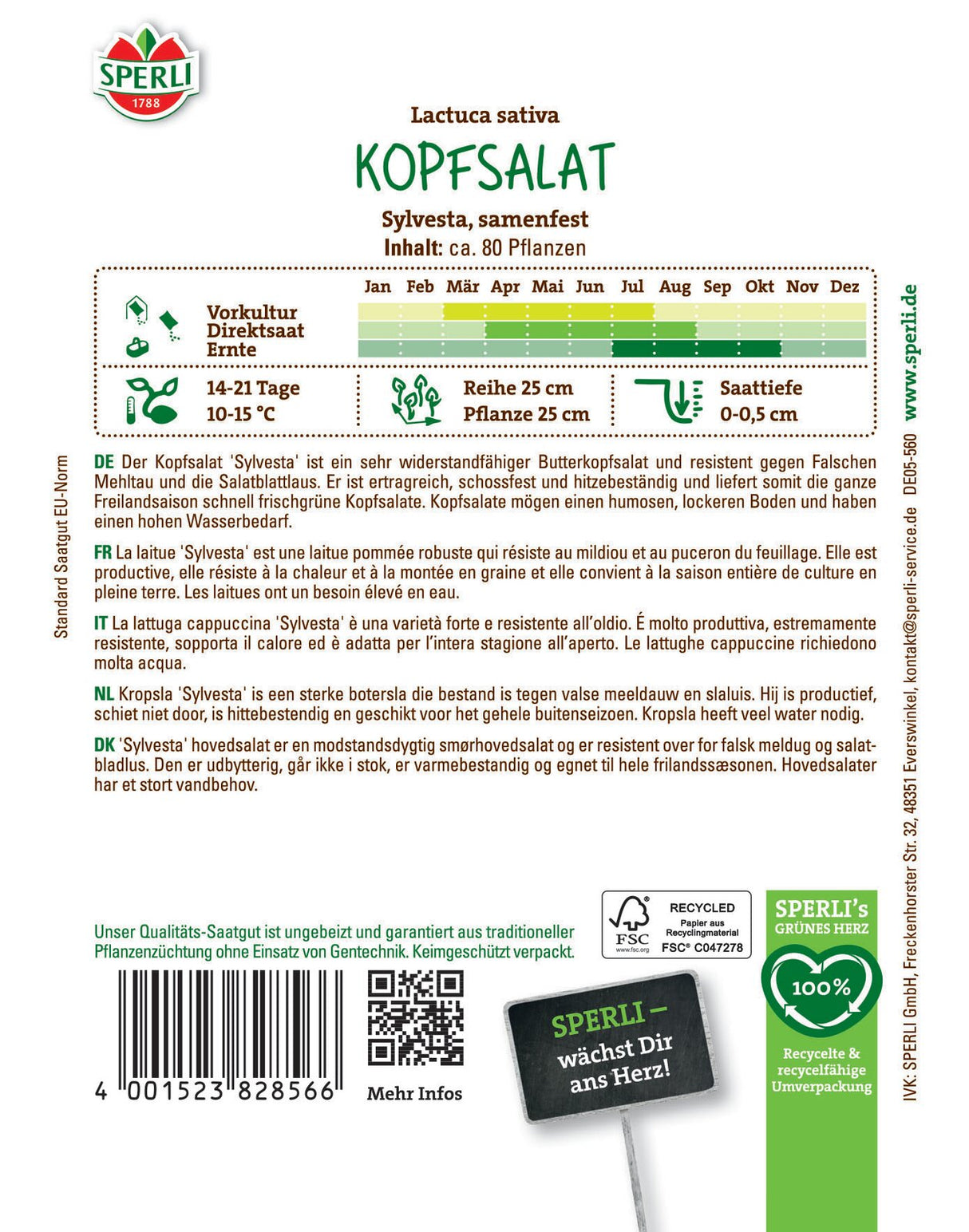 SPERLI Kopfsalat Sylvesta