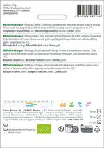 Sativa Bodenkohlrabi Wilhelmsburger