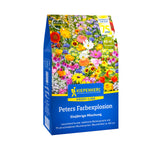 Kiepenkerl Blumenmischung Peters Farbexplosion Faltschachtel