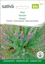 Sativa Ysop