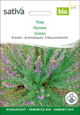 Sativa Ysop