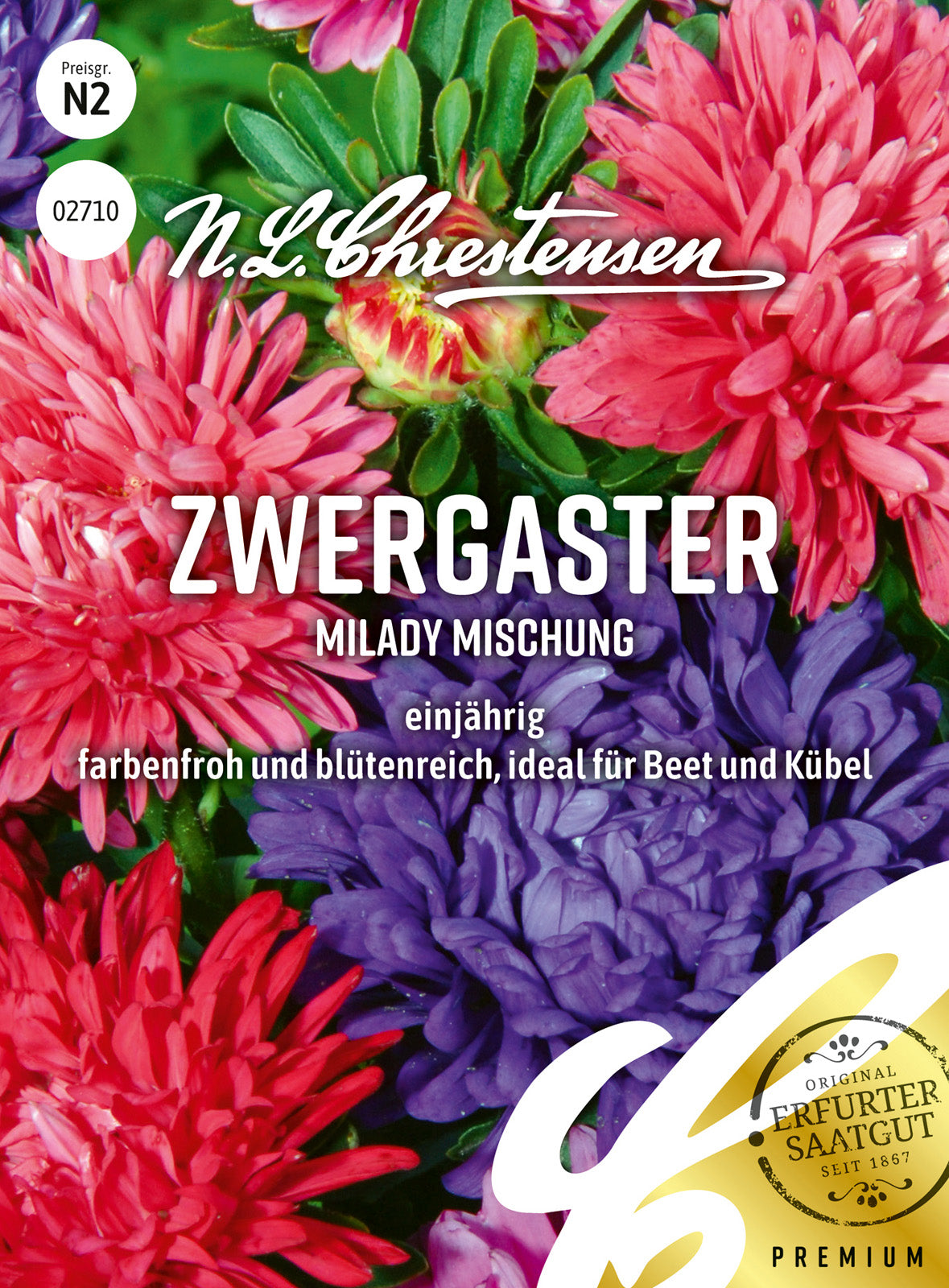 N.L. Chrestensen Zwergaster MiLady Mischung