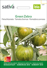 Sativa Fleischtomate Green Zebra