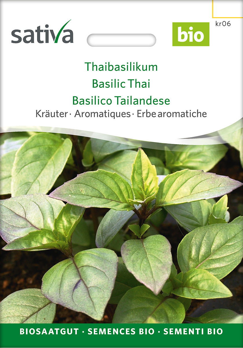 Sativa Thaibasilikum