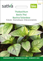 Sativa Thaibasilikum