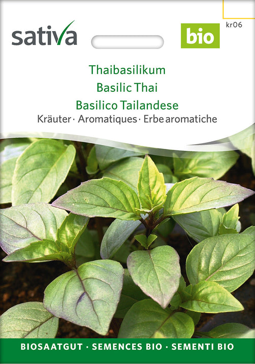 Sativa Thaibasilikum