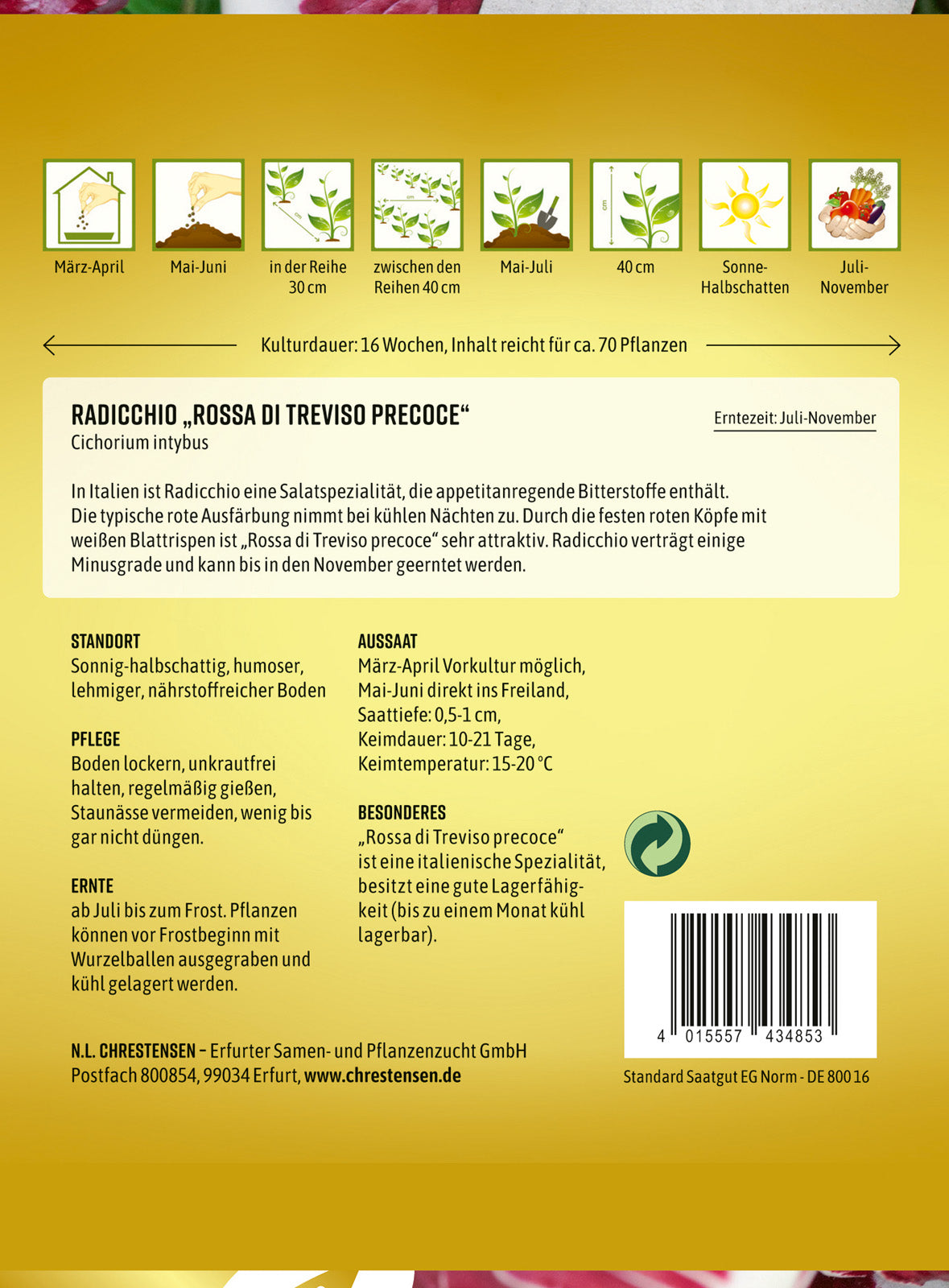 N.L. Chrestensen Radicchio Rossa di Treviso precoce