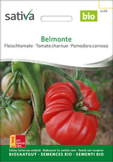 Sativa Fleischtomate Belmonte