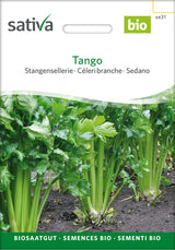 Sativa Stangensellerie Tango