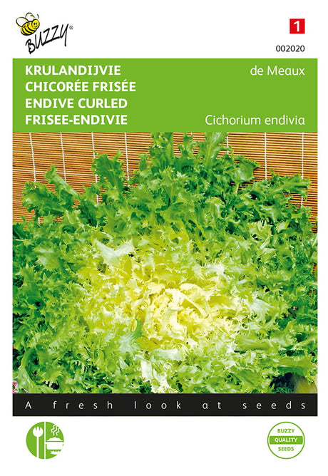 Buzzy Seeds Endiviensalat de Meaux Krause