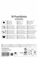 Puschkinie
