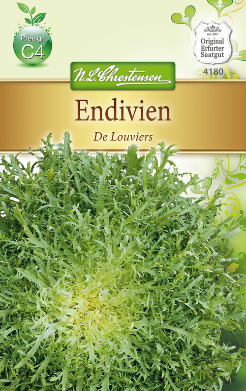 N.L. Chrestensen Endiviende Louviers