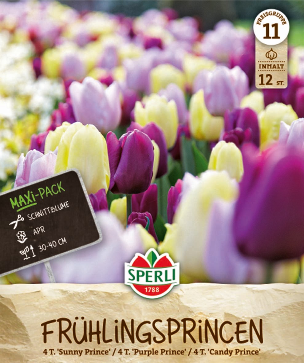 Frühlingsgarten Frühlings-Princen