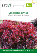 Sativa Lollo rot Lollo Rossa di Vino