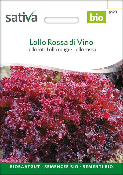 Sativa Lollo rot Lollo Rossa di Vino
