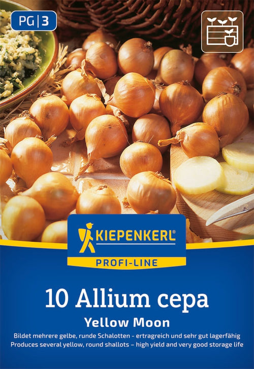 Kiepenkerl Schalotte Yellow Moon 10 Stück