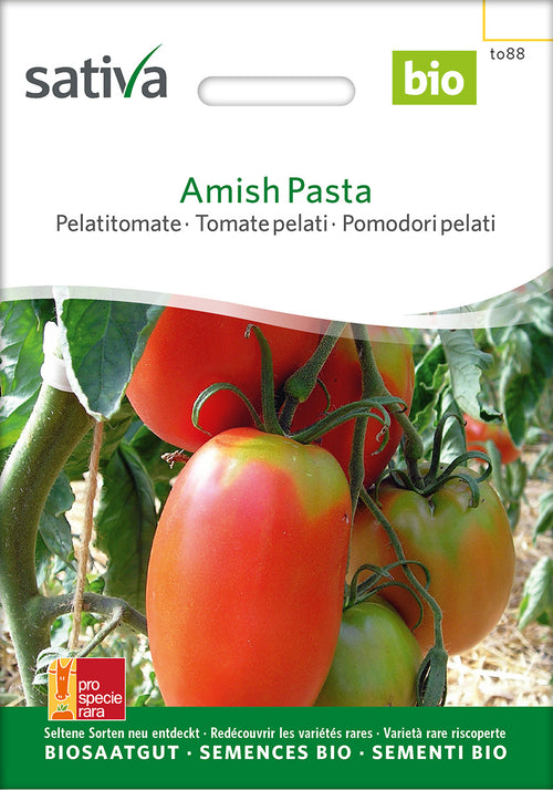Sativa Pelatitomate Amish Pasta