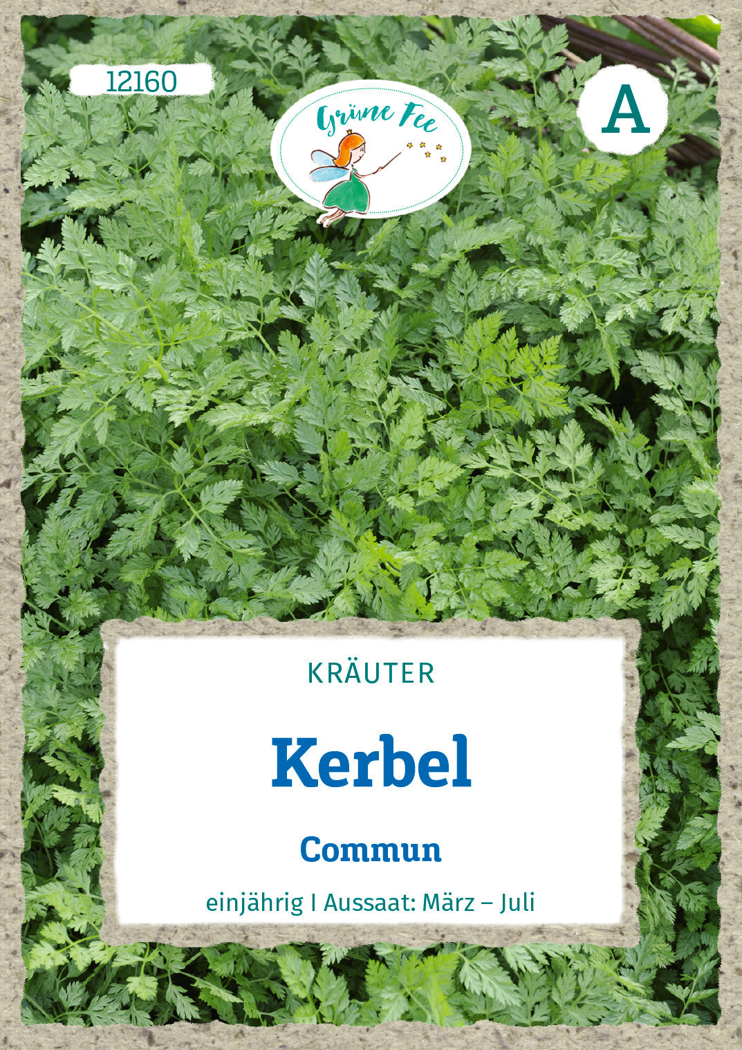 Grüne Fee Kerbel Commun