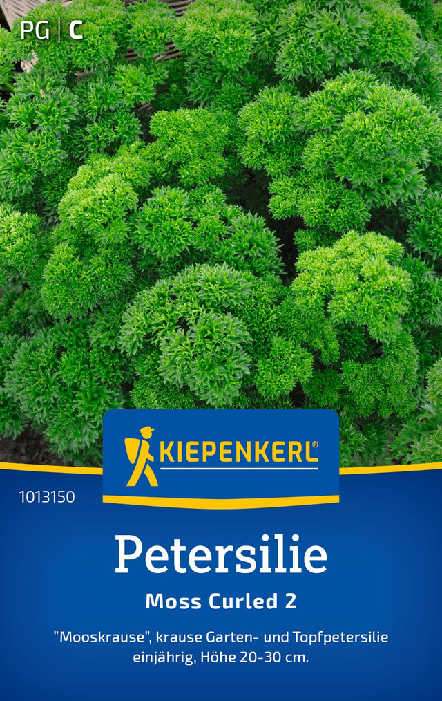 Kiepenkerl Petersilie Moss Curled 2