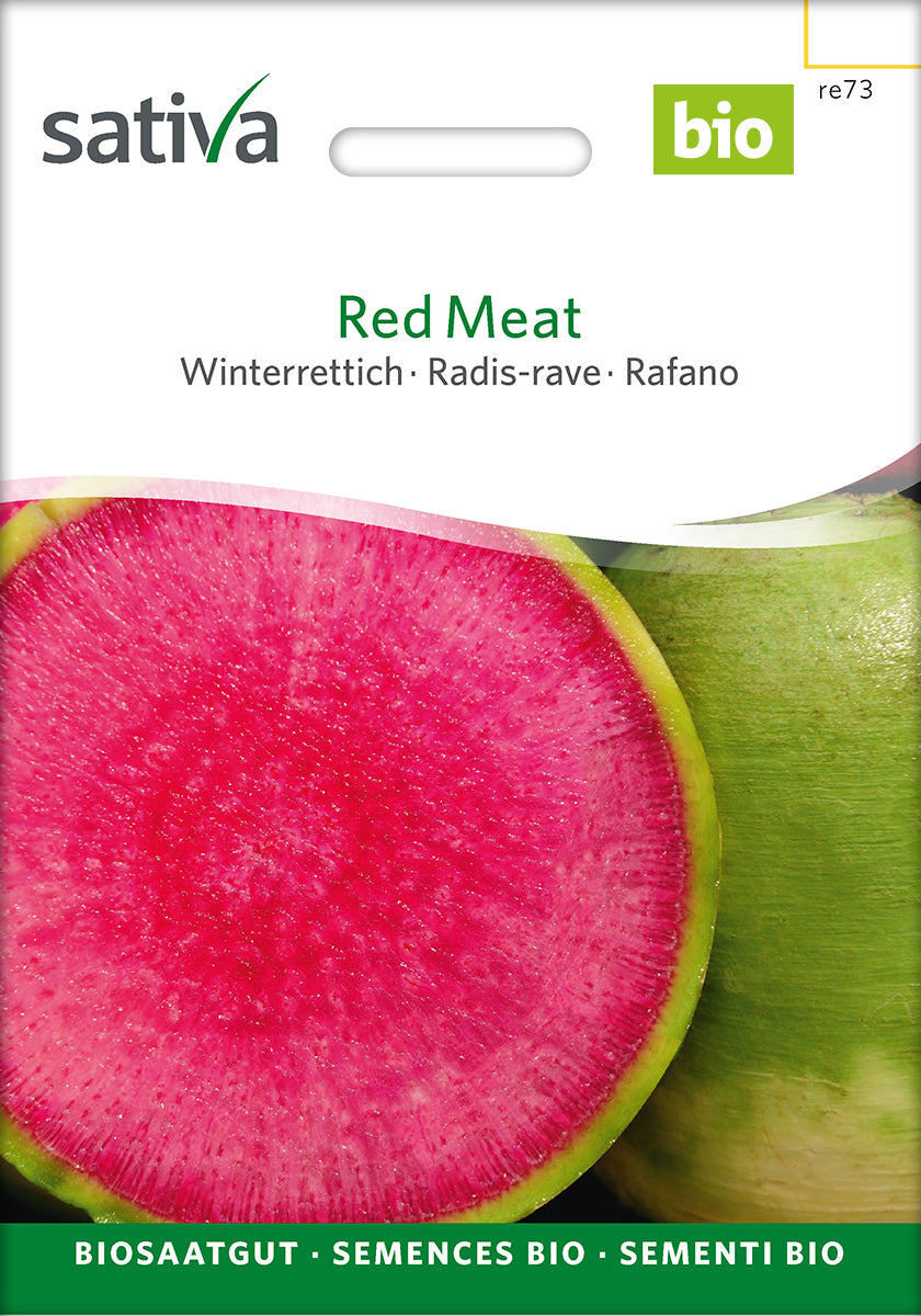 Sativa Winterrettich Red Meat
